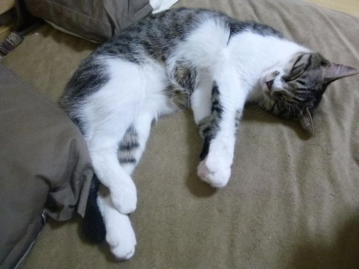 开云ky官网-中超球队比赛风险控制能力,中超风云百科