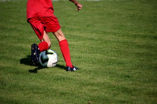 开运体育电脑版-中超球队球员年龄结构，中超球队平均年龄