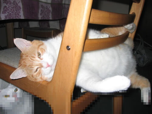 开云体育app在线-AC米兰主打两翼齐飞形成边路优势,ac米兰谁能打爆这条防线