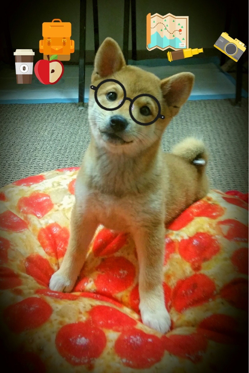 开云体育app入口-外线火力强的球队如何对抗内线强队,外线球员和内线球员