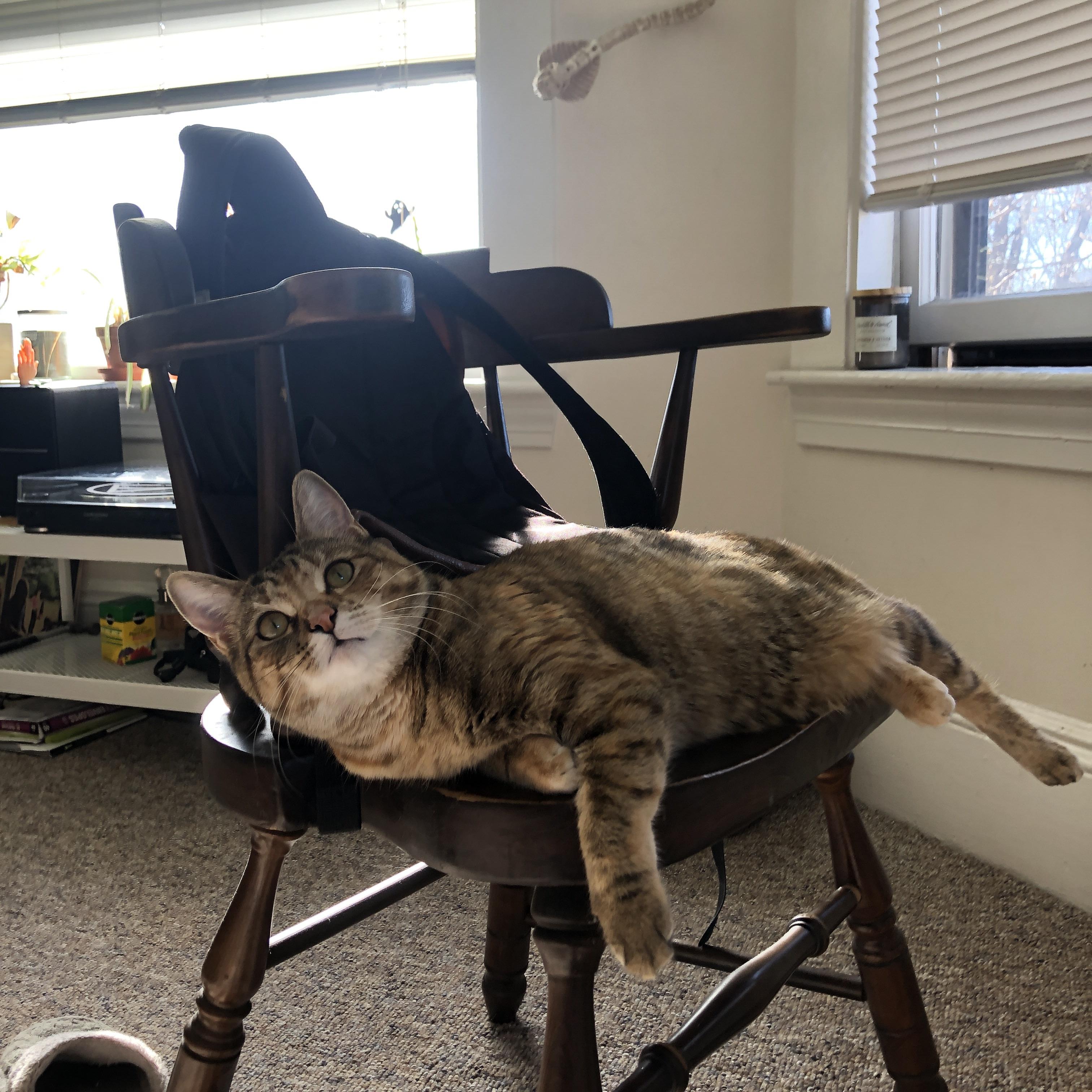 kaiyun开云体育-恩波利后防组合默契显著提升防守质量,恩波利主帅