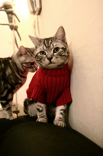 开云体育app在线-拉齐奥强化右路通道形成配合支点