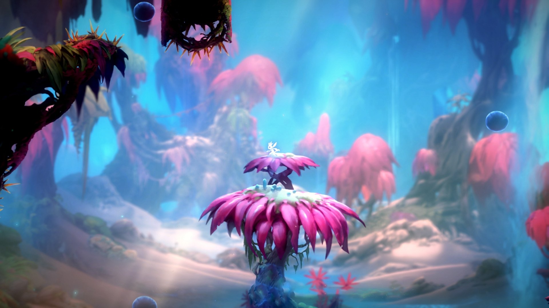 开云体育平台-配速策略调整数据解析,关于配速的几个常见问题