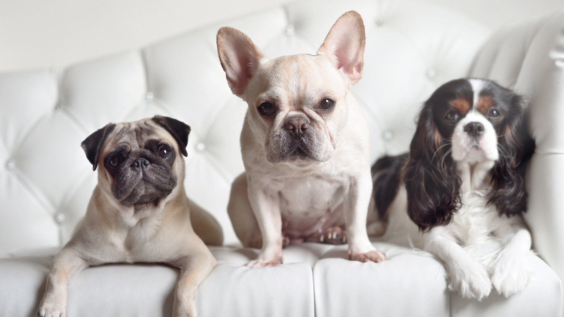 开云体育下载-冬训营提升全国青少年竞技水平，青少年冬令营,火热招生中!