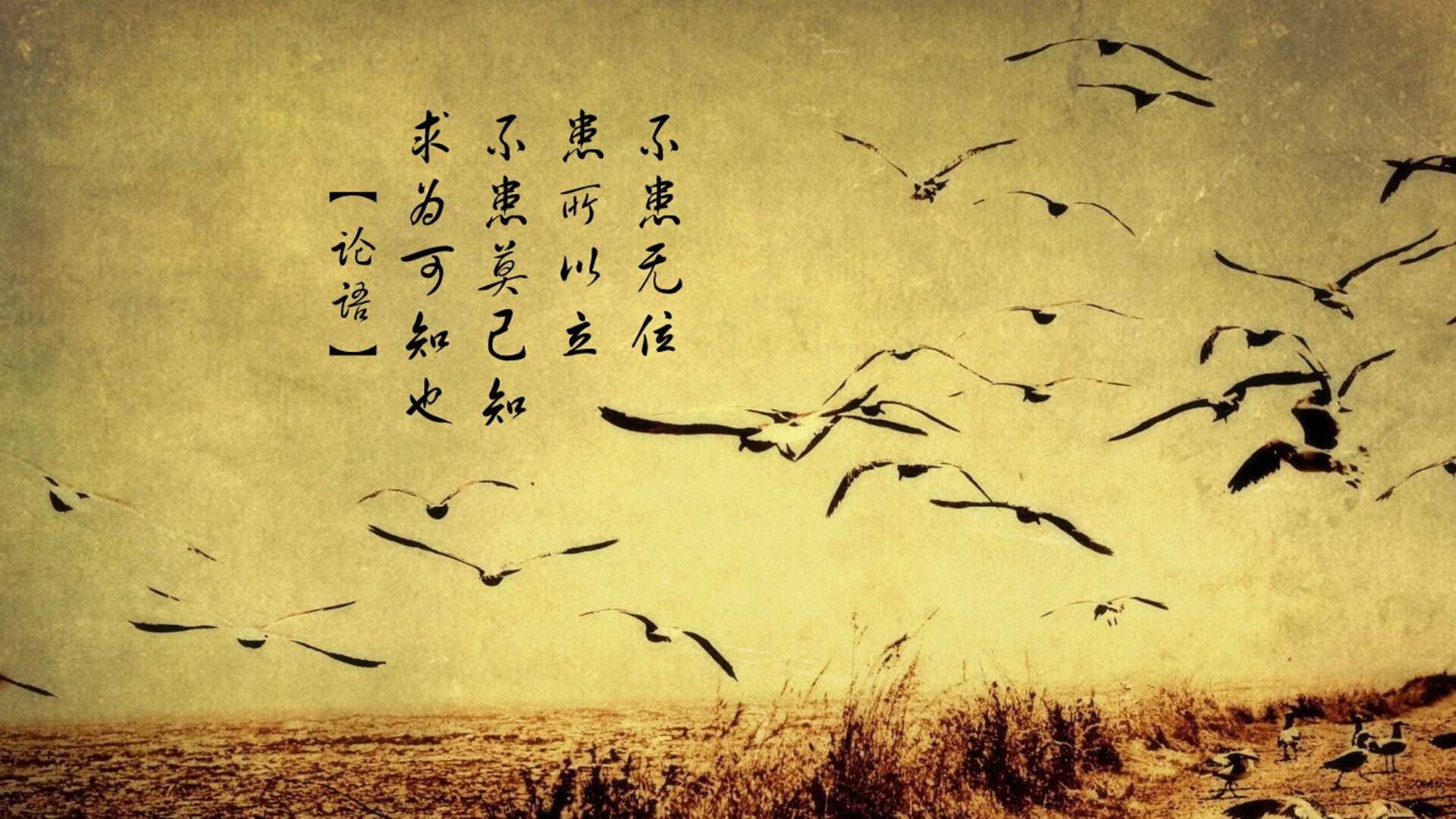 开云体育网站-德国女篮在欧洲锦标赛中大放异彩，连续夺得佳绩，德国队欧锦赛大名单