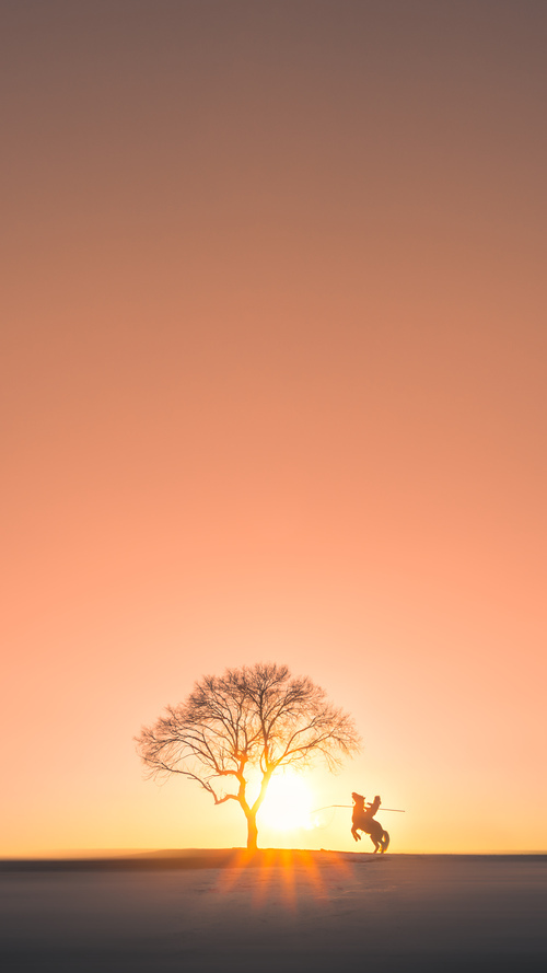 开云体育在线官网-法甲媒体对转会市场的报道趋势，法甲转会截止日期
