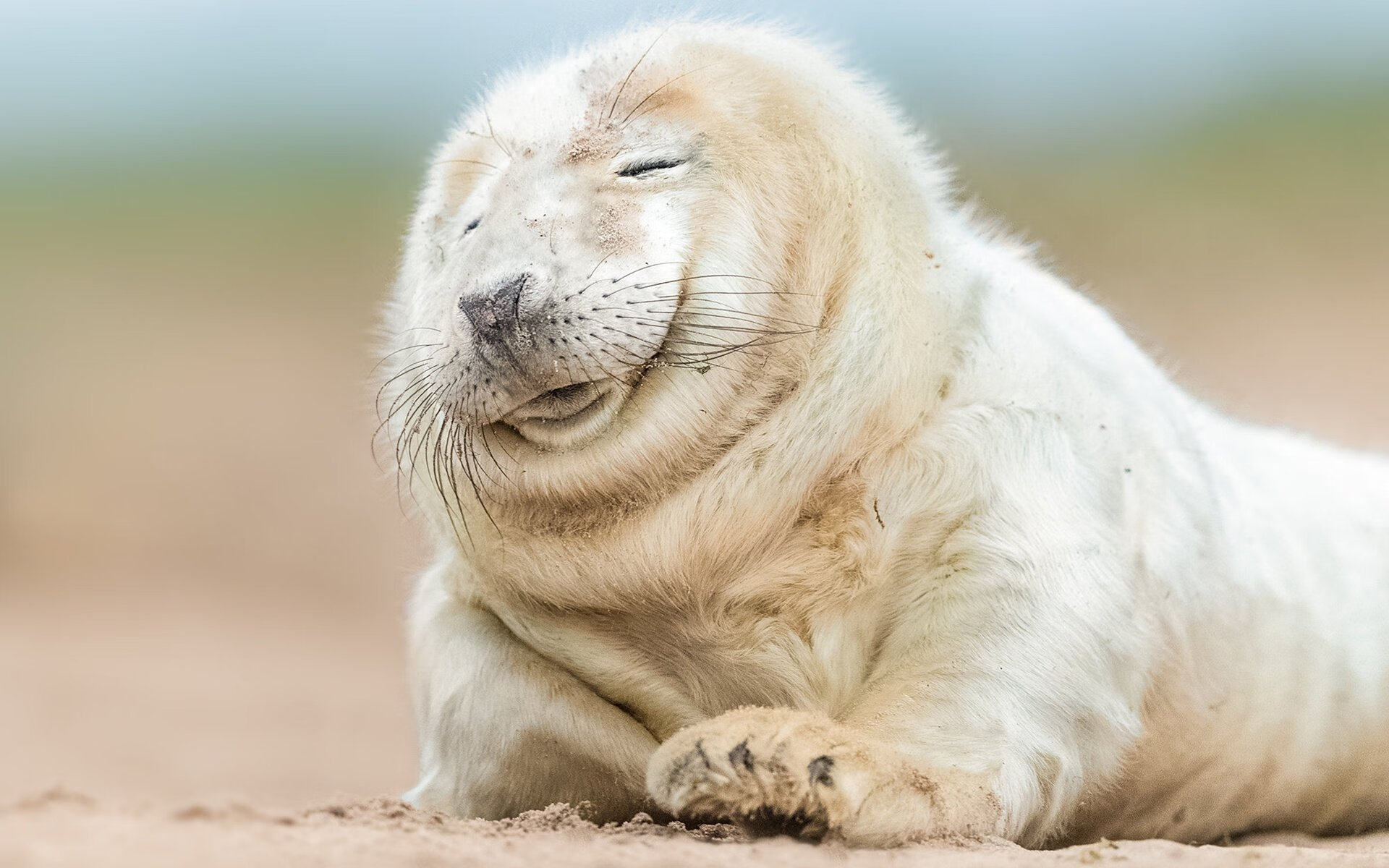 开云体育网址-西甲球迷文化：从体育到生活方式，西甲被球迷称为