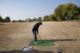 开云体育官网下载-全场瞩目的“破纪录瞬间”：运动员超越自我极限